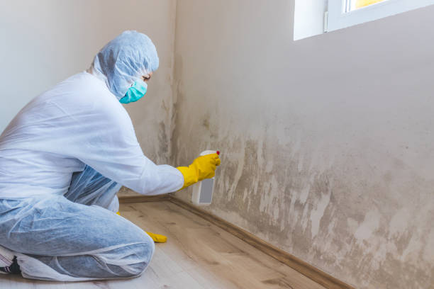 Licensed Commercial Mold Remediation service in Newton, TX - WQB Mold Removal