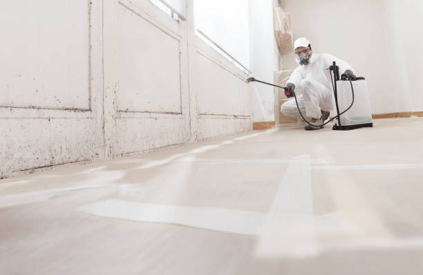 24/7 Emergency Commercial Mold Remediation experts in Newton, TX
