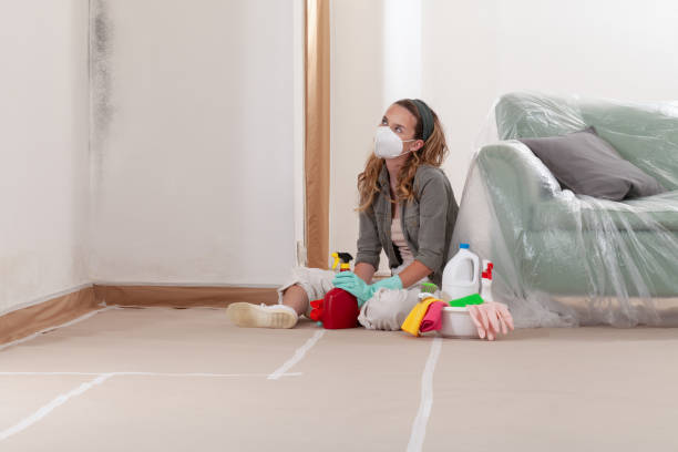 Reliable Commercial Mold Remediation contractor in Newton, TX by WQB Mold Removal